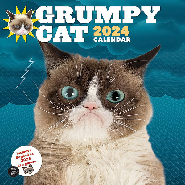 Grumpy Cat 2024 Wall Calendar Daedalus Books